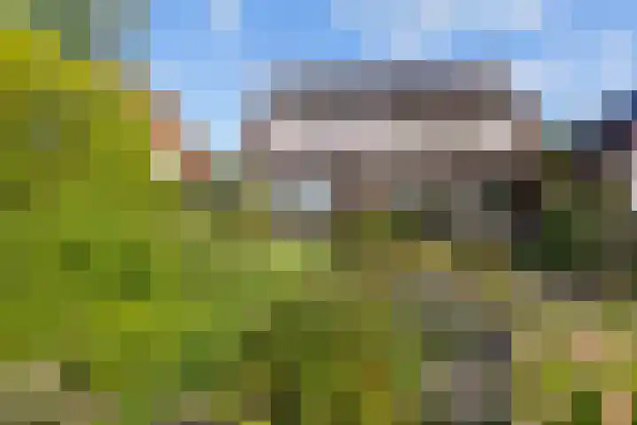 Harlingerstraatweg 64 Midlum thumbnail 15
