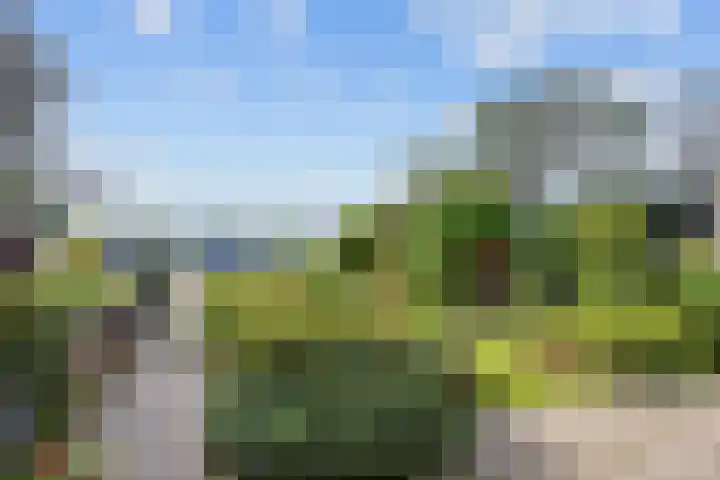 Harlingerstraatweg 64 Midlum thumbnail 16