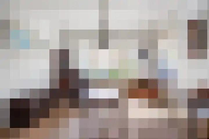 Harlingerstraatweg 64 Midlum thumbnail 23