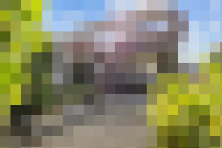 Harlingerstraatweg 64 Midlum thumbnail 41