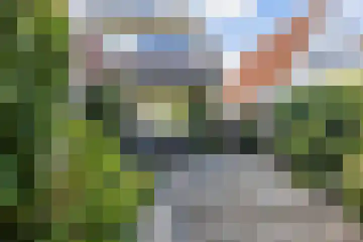 Harlingerstraatweg 64 Midlum thumbnail 42