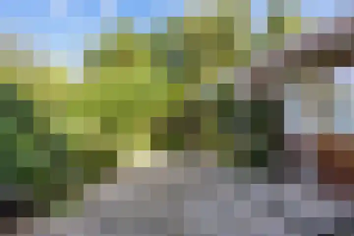 Harlingerstraatweg 64 Midlum thumbnail 44
