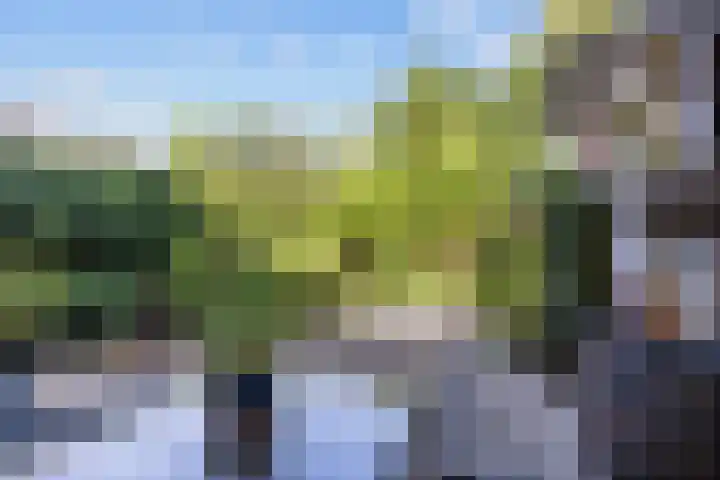 Harlingerstraatweg 64 Midlum thumbnail 45