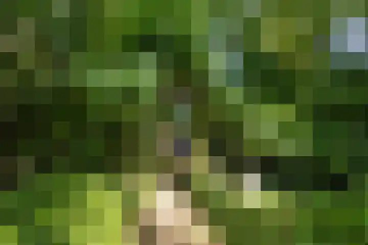 Harlingerstraatweg 64 Midlum thumbnail 47