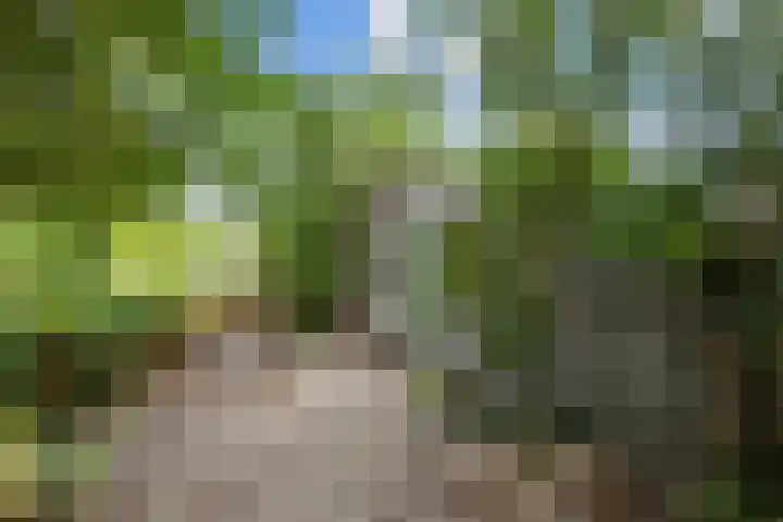 Harlingerstraatweg 64 Midlum thumbnail 48
