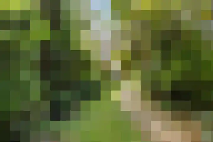 Harlingerstraatweg 64 Midlum thumbnail 51