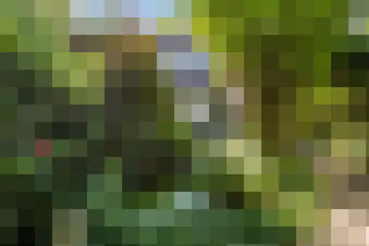 Harlingerstraatweg 64 Midlum thumbnail 52