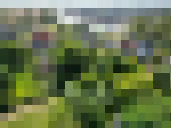 Harlingerstraatweg 64 Midlum thumbnail 53