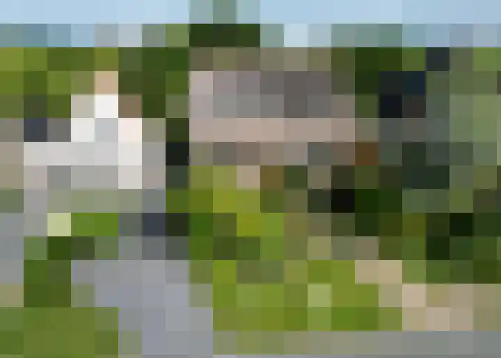 Harlingerstraatweg 64 Midlum thumbnail 77