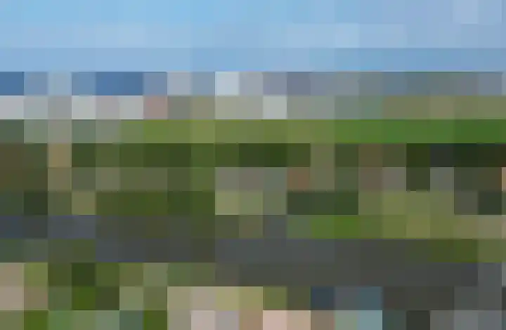 Harlingerstraatweg 64 Midlum thumbnail 8