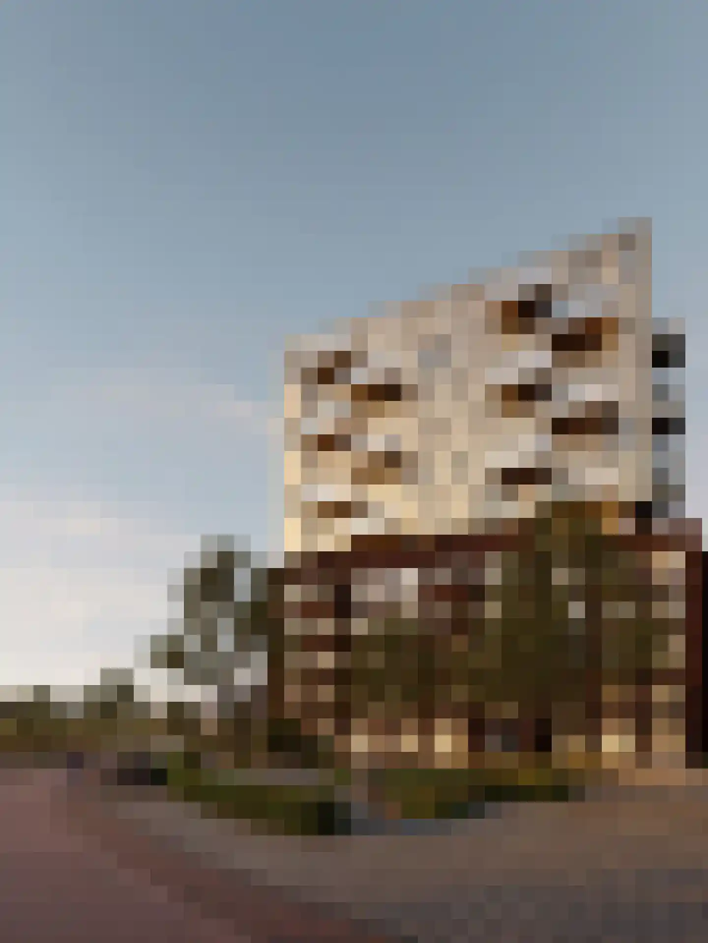 Harlingertrekweg 1 Leeuwarden thumbnail 6