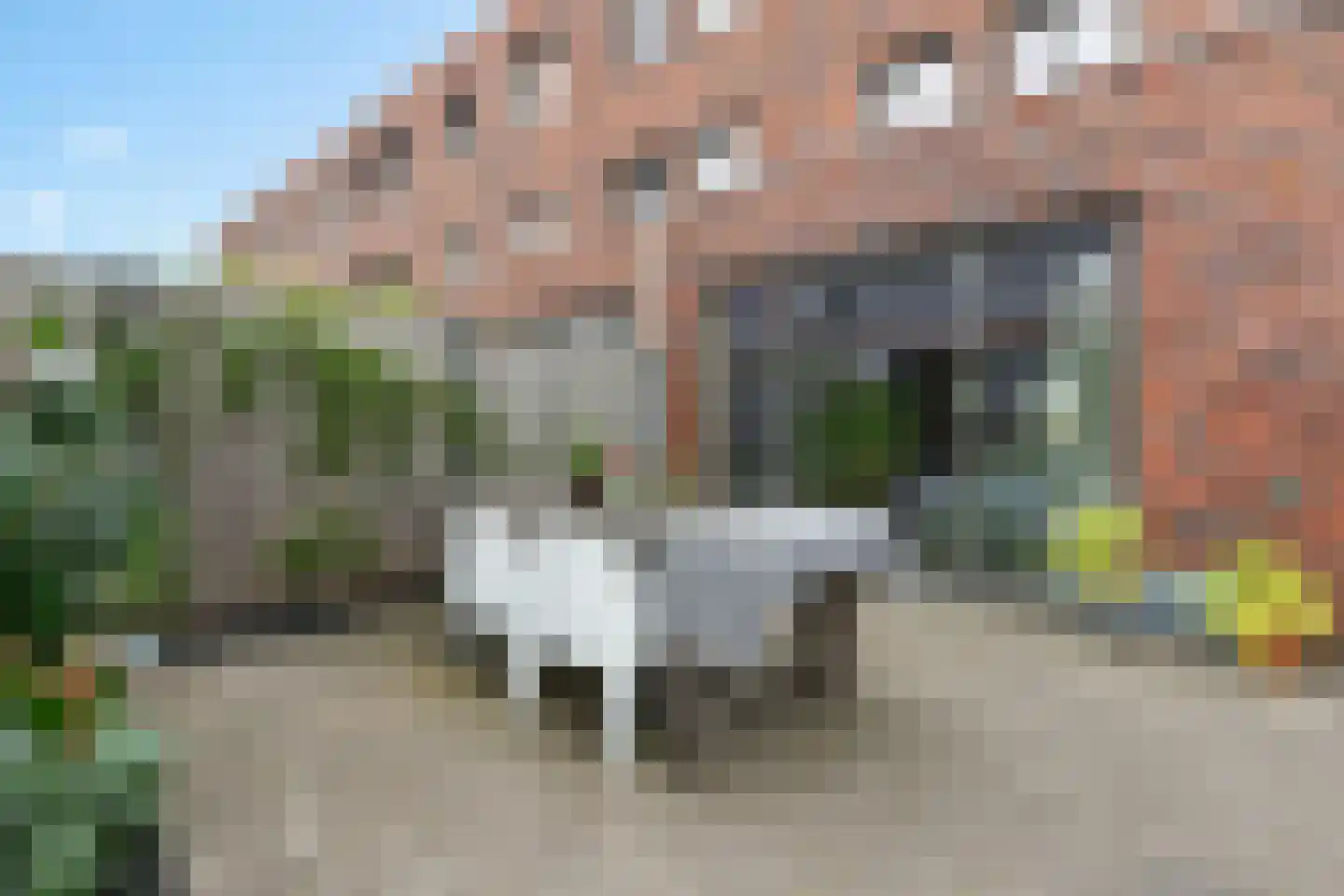 Harlingertrekweg 36 d Leeuwarden thumbnail 26