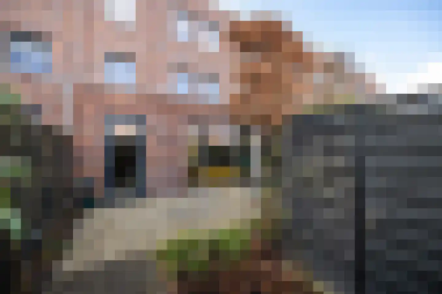 Harlingertrekweg 38 b Leeuwarden thumbnail 23