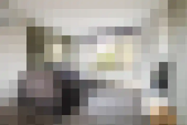 Harlingerweg 13 Franeker thumbnail 13