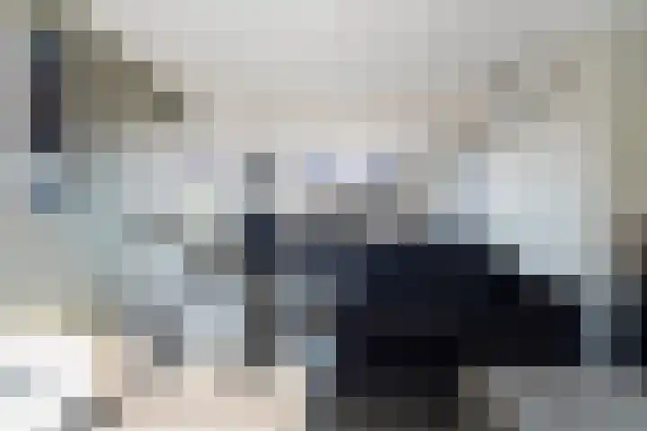 Harlingerweg 13 Franeker thumbnail 15