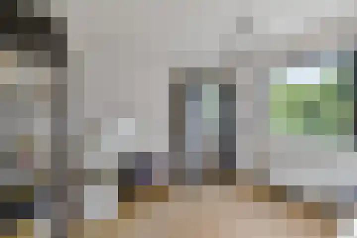 Harlingerweg 13 Franeker thumbnail 18