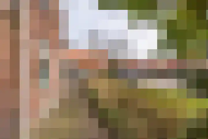 Harlingerweg 13 Franeker thumbnail 30