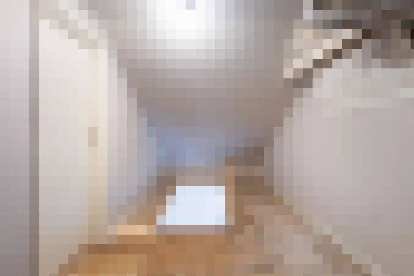 Harlingerweg 13 Franeker thumbnail 55