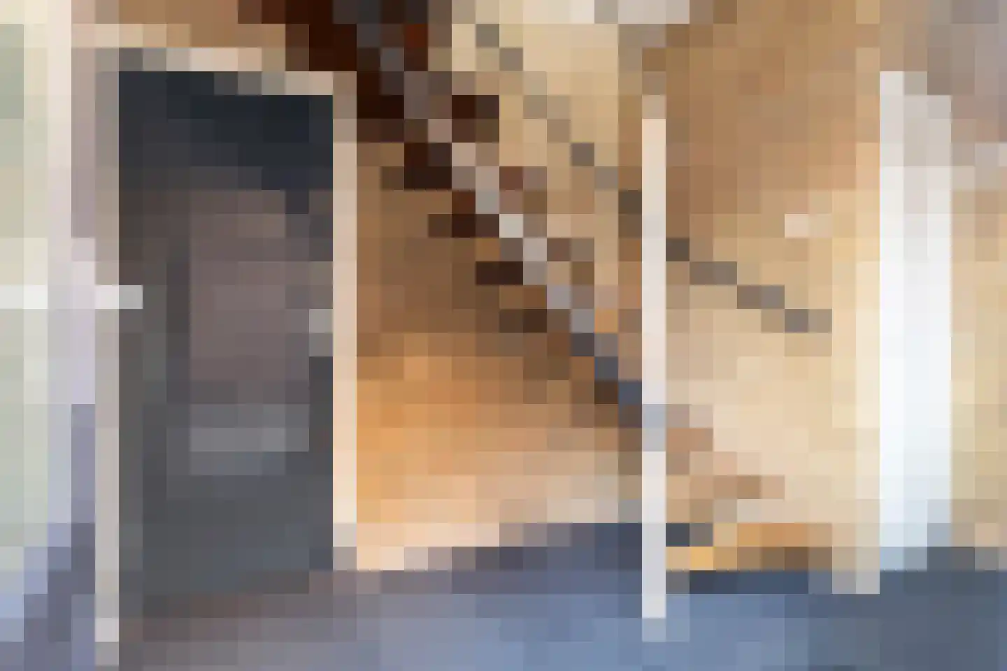 Harlingerweg 13 Franeker thumbnail 8