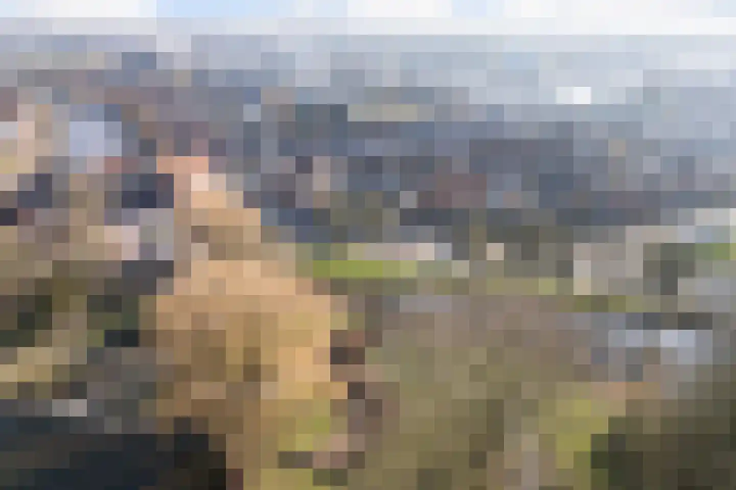 Harlingerweg 13 Franeker thumbnail 81