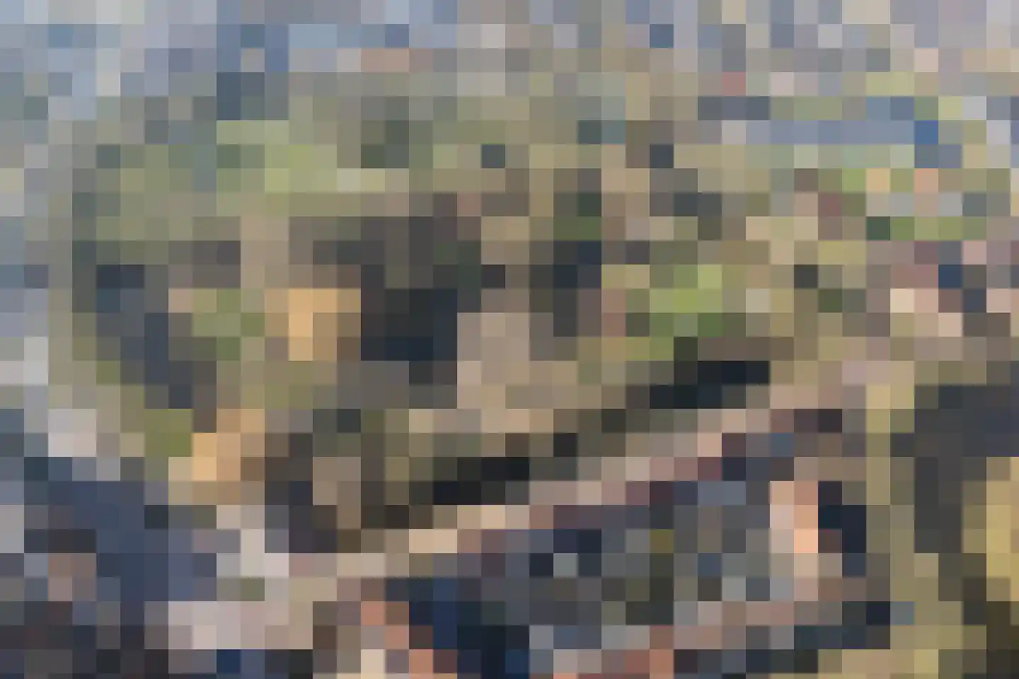 Harlingerweg 13 Franeker thumbnail 82