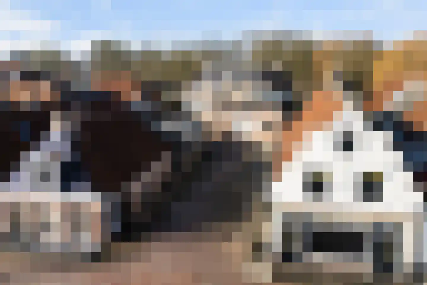 Harlingerweg 13 Franeker thumbnail 86