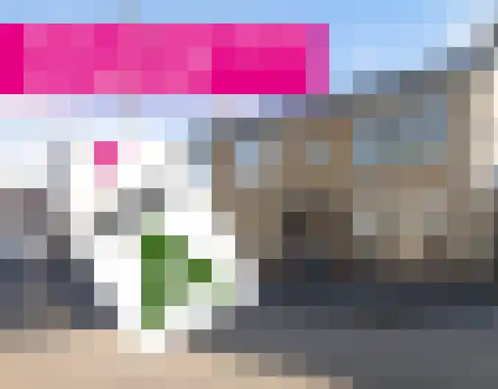 Harlingerweg 13 Franeker thumbnail 87