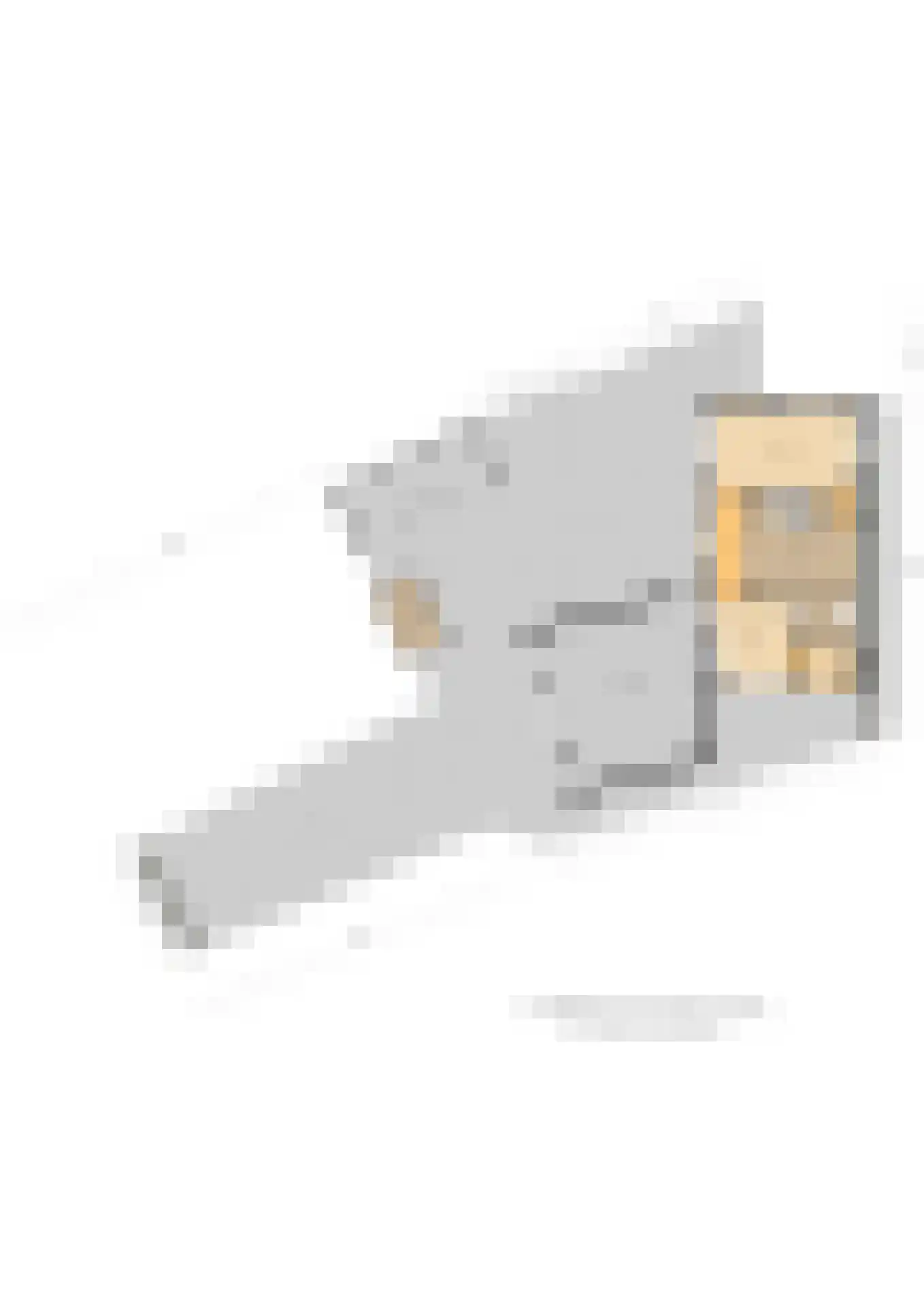 Harlingerweg 13 Franeker thumbnail 88