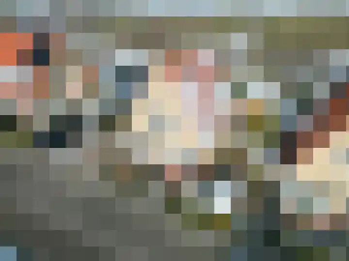 Harlingerweg 30 Franeker thumbnail 12