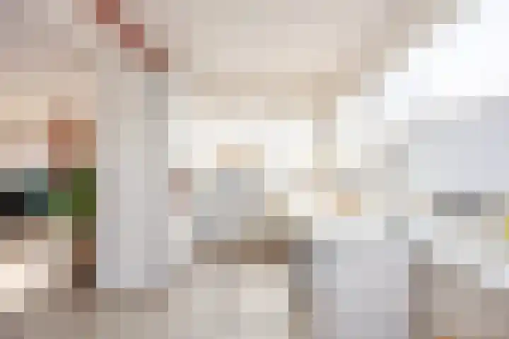 Harlingerweg 30 Franeker thumbnail 35