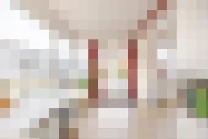 Harlingerweg 30 Franeker thumbnail 36