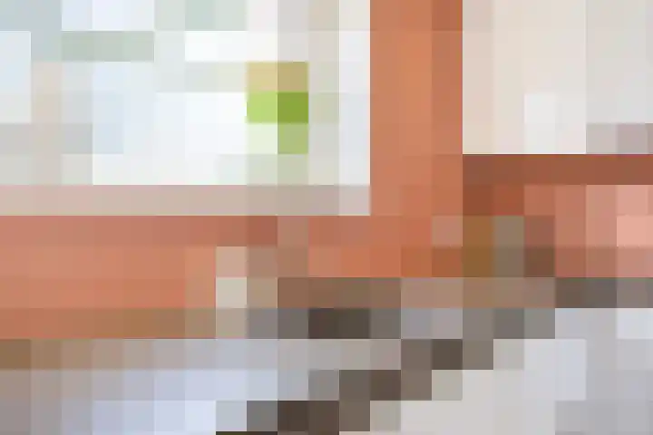 Harlingerweg 30 Franeker thumbnail 41