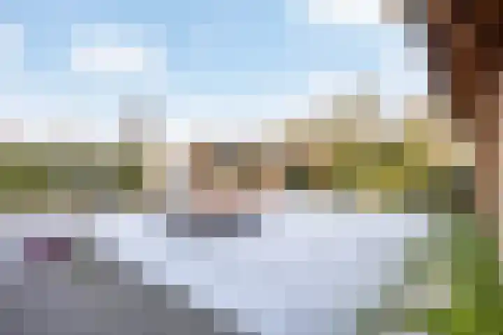Harlingerweg 30 Franeker thumbnail 51