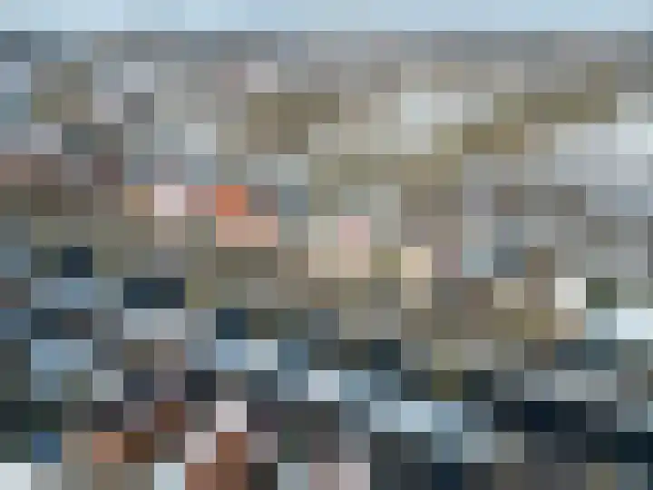 Harlingerweg 30 Franeker thumbnail 9