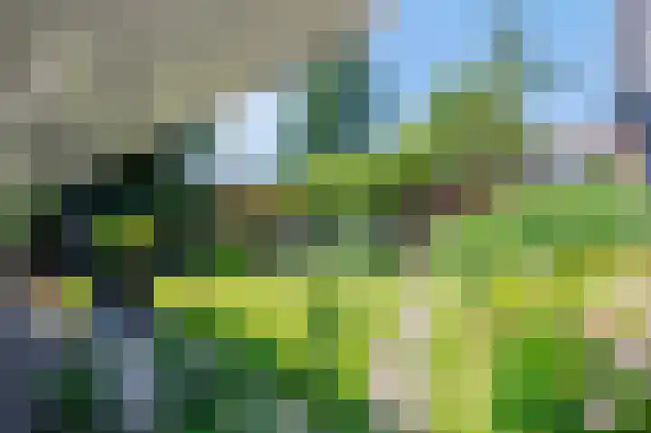 Harlingerweg 41 Franeker thumbnail 38