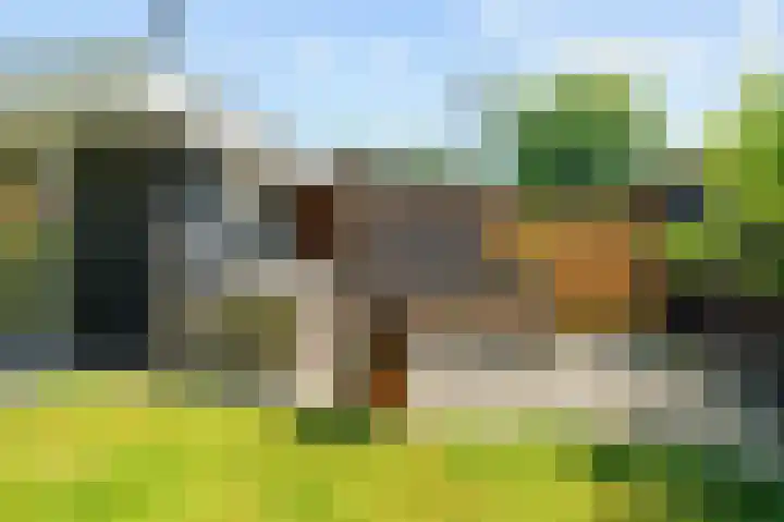 Harlingerweg 41 Franeker thumbnail 39