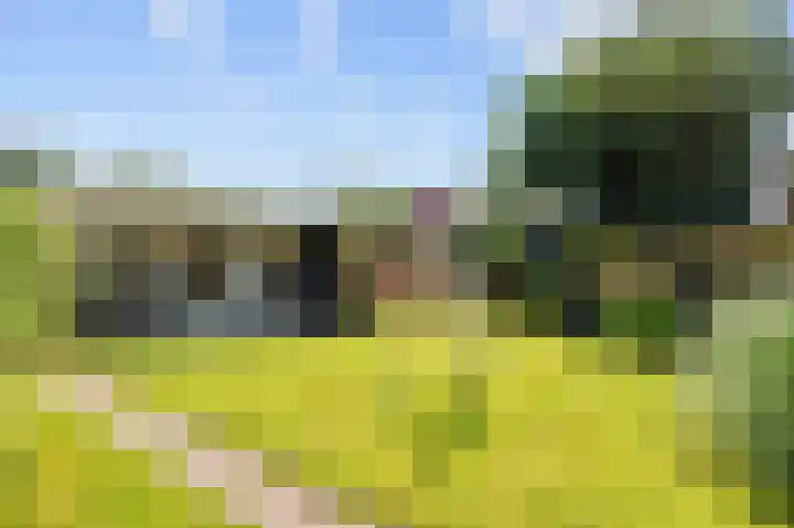Harlingerweg 41 Franeker thumbnail 6