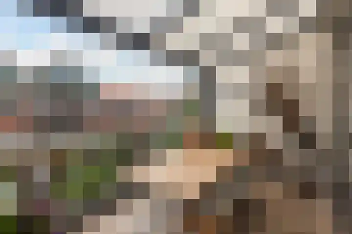 Harlingerweg 41 Franeker thumbnail 63