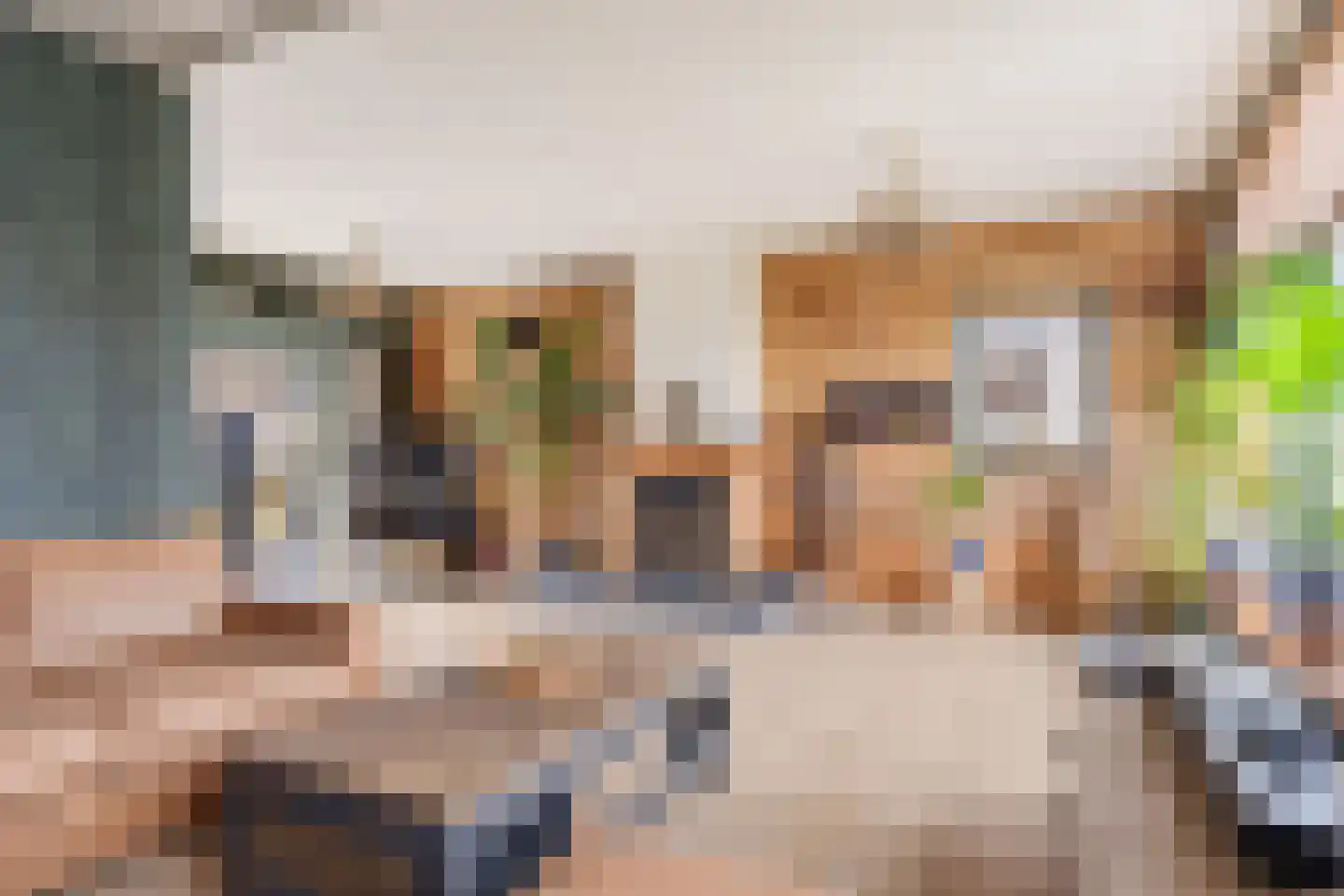 Harlingerweg 9 Kimswerd thumbnail 7