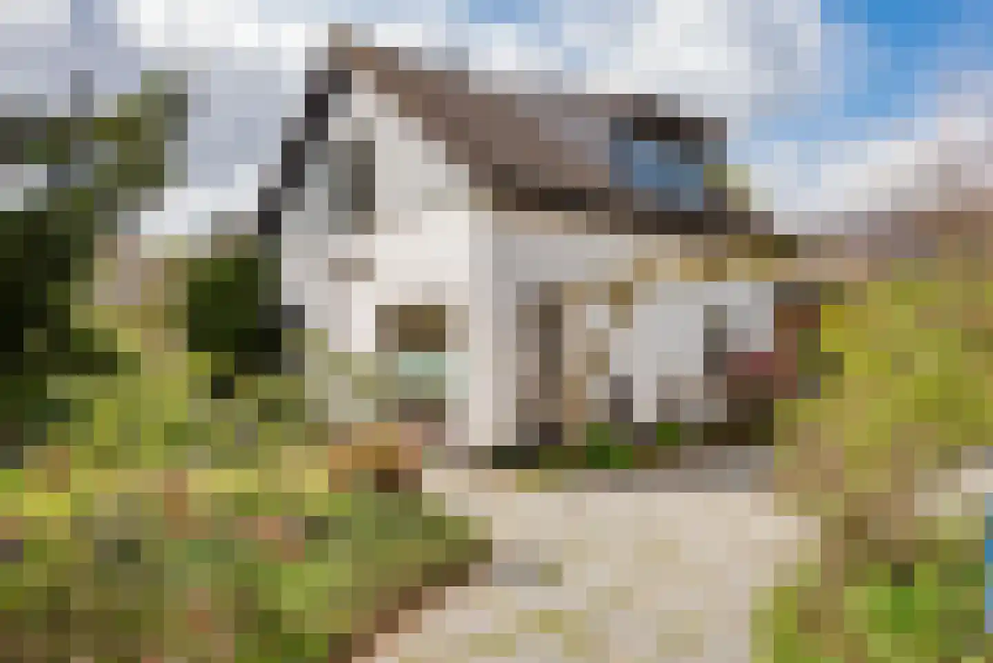 Harm Aartsweg 10 't Loo Oldebroek