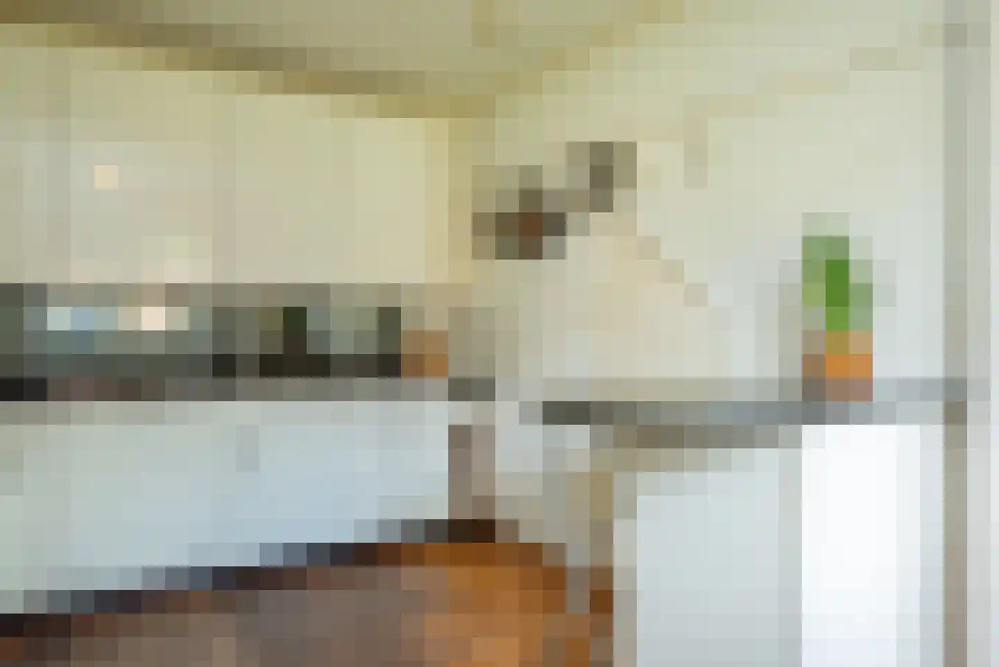 Harm Aartsweg 10 't Loo Oldebroek thumbnail 16