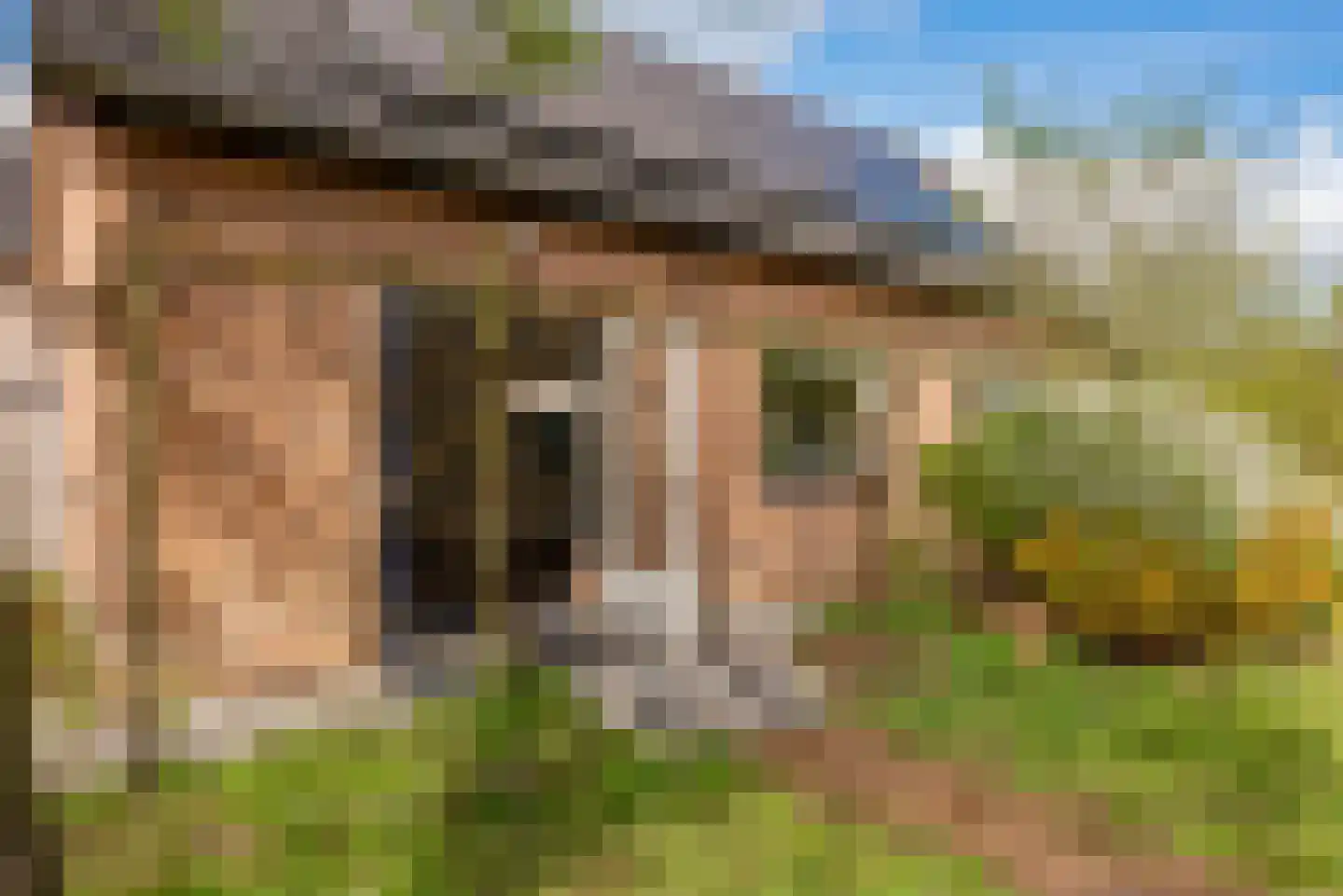 Harm Aartsweg 10 't Loo Oldebroek foto 2