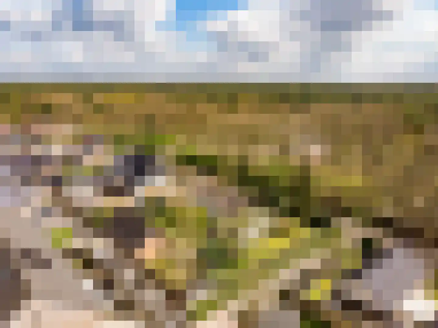 Harm Aartsweg 10 't Loo Oldebroek foto 3