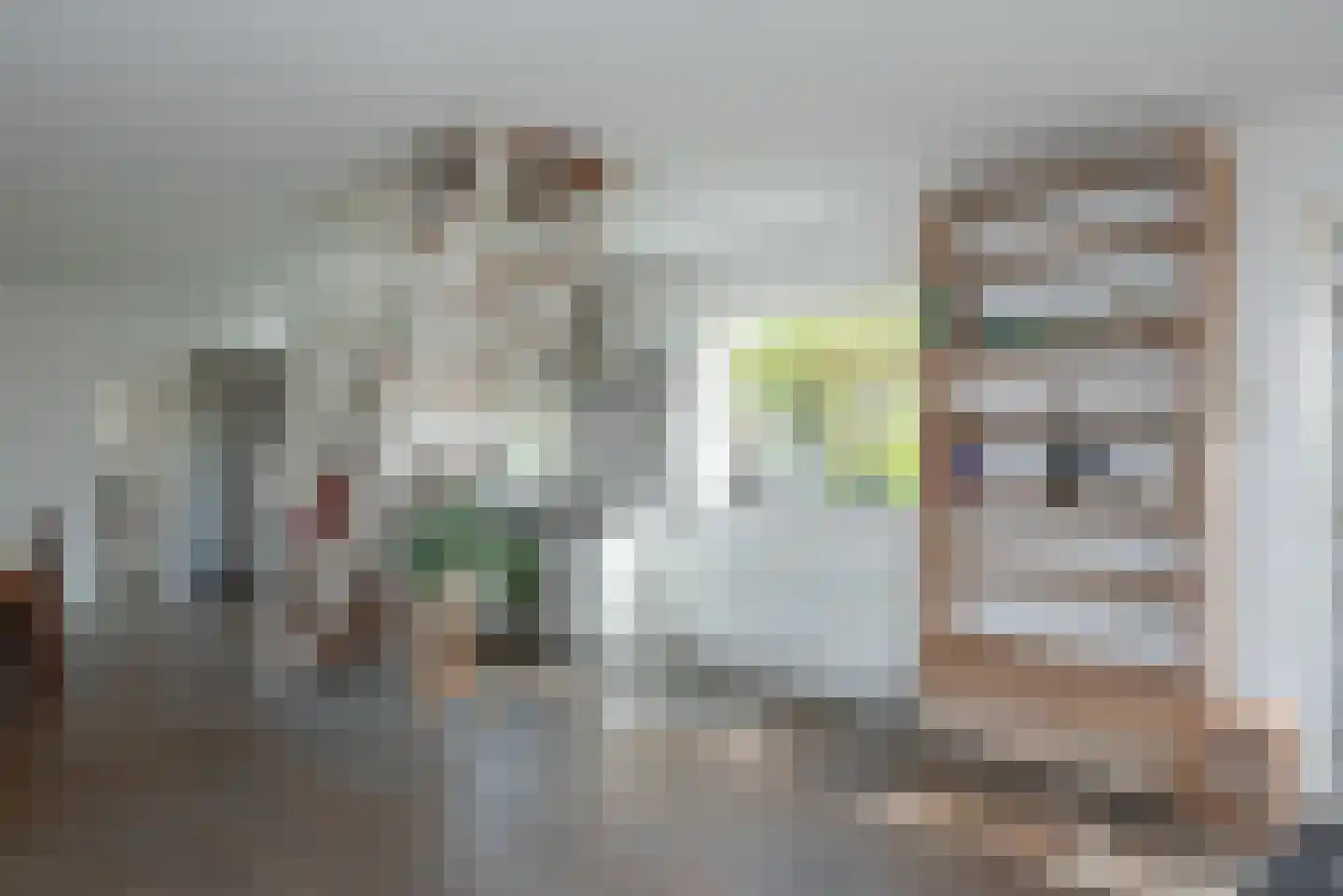 Harm Aartsweg 10 't Loo Oldebroek thumbnail 36