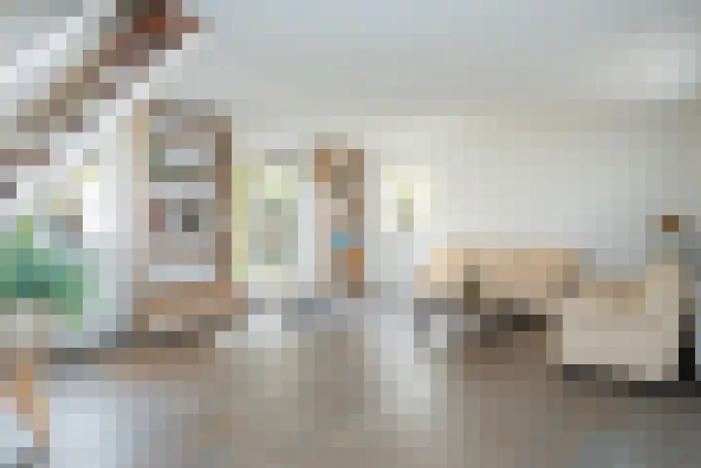 Harm Aartsweg 10 't Loo Oldebroek thumbnail 39