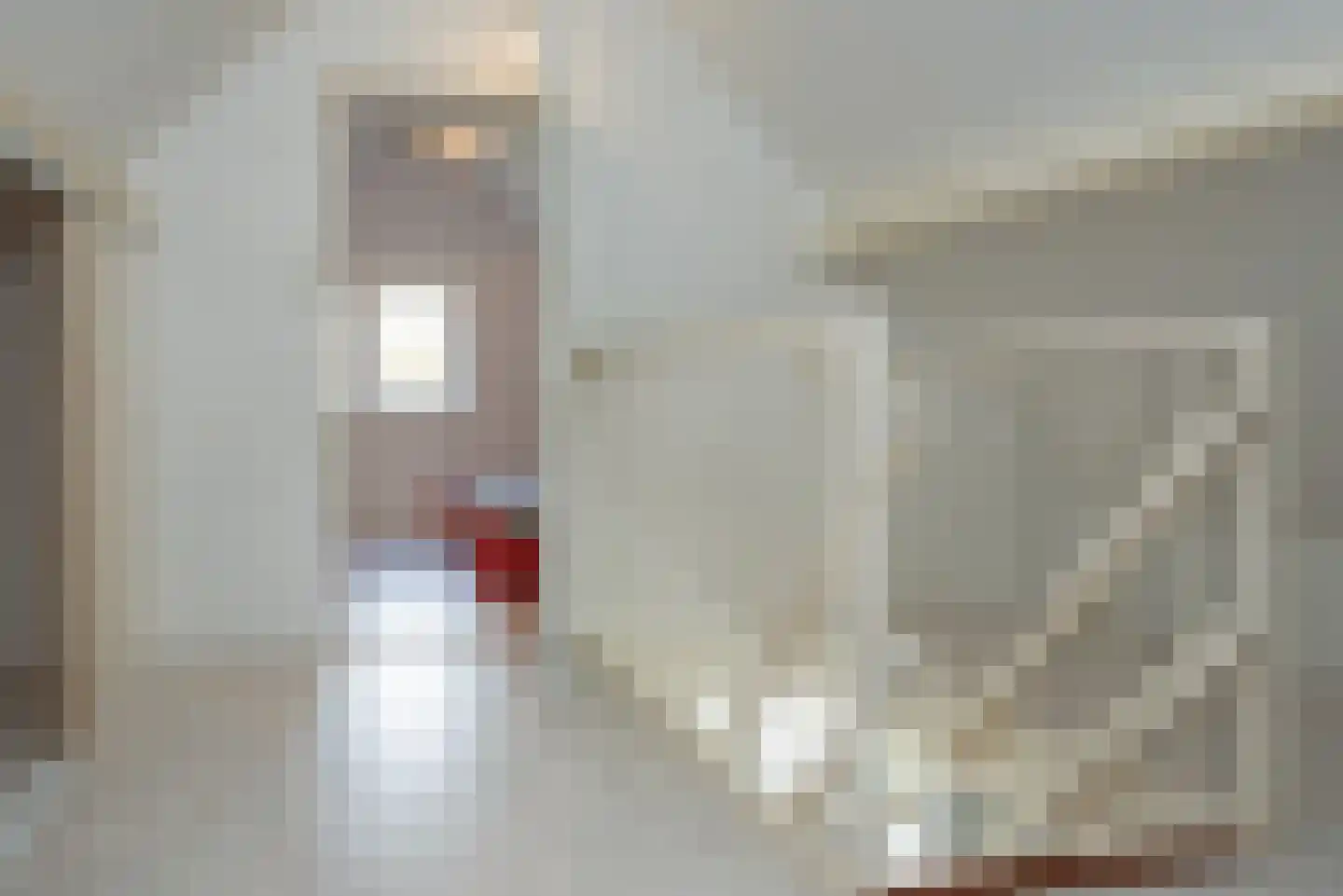 Harm Aartsweg 10 't Loo Oldebroek thumbnail 48