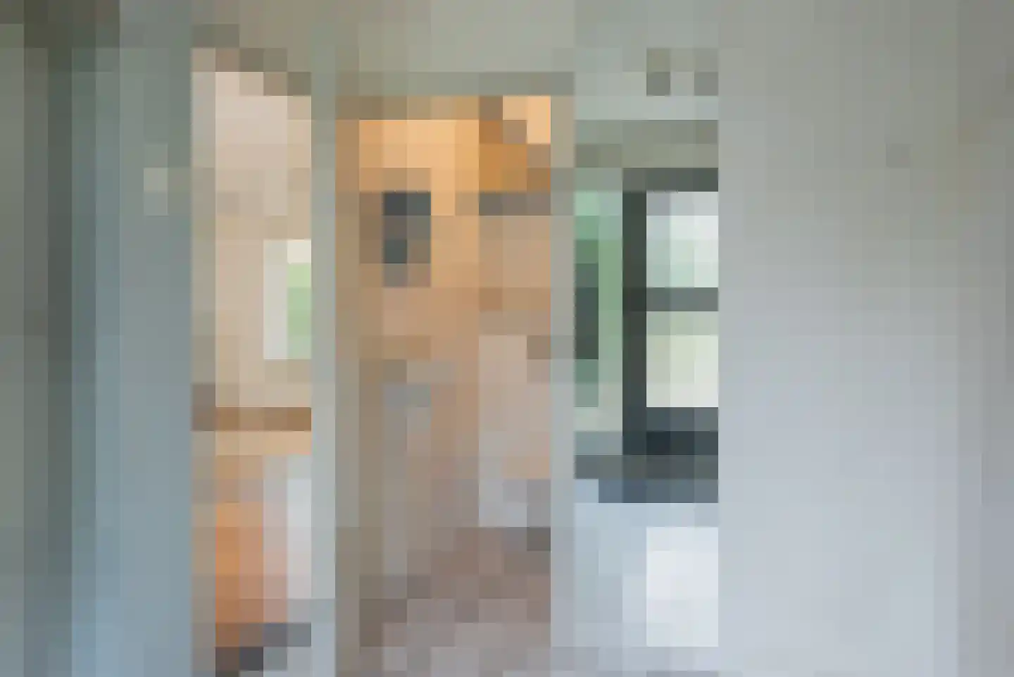 Harm Aartsweg 10 't Loo Oldebroek thumbnail 5