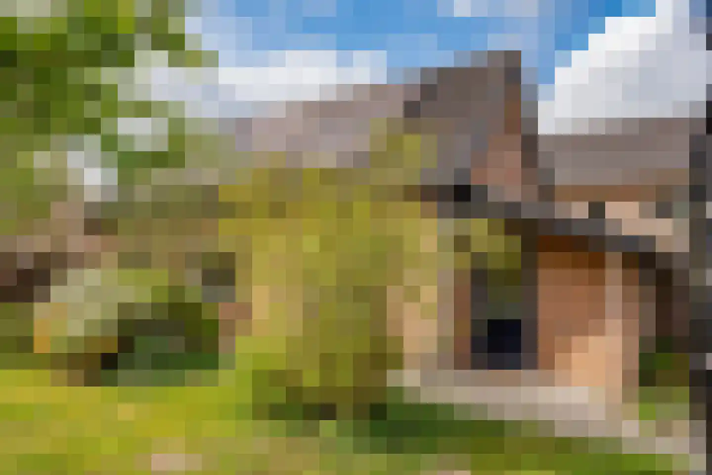 Harm Aartsweg 10 't Loo Oldebroek thumbnail 53