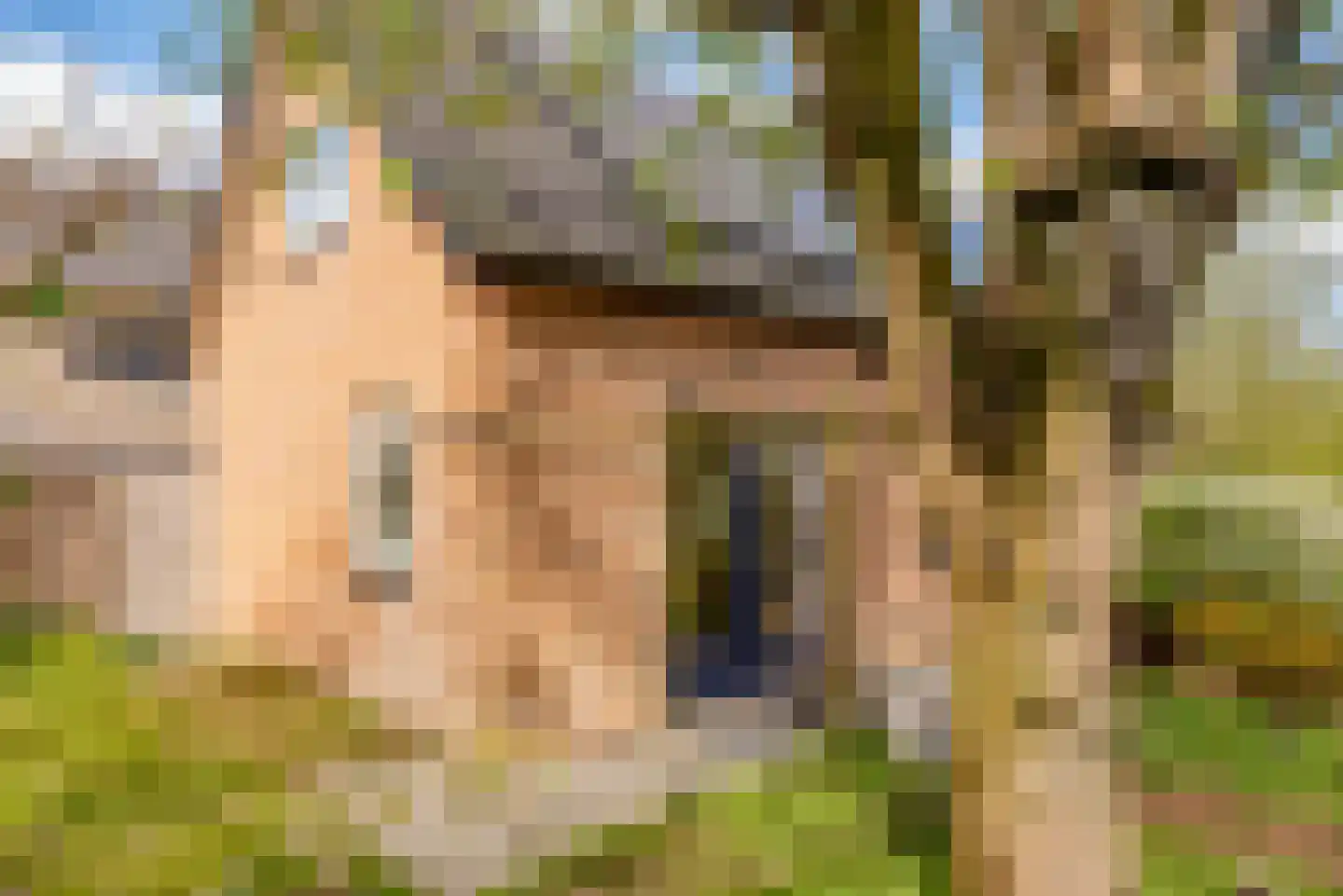 Harm Aartsweg 10 't Loo Oldebroek thumbnail 54