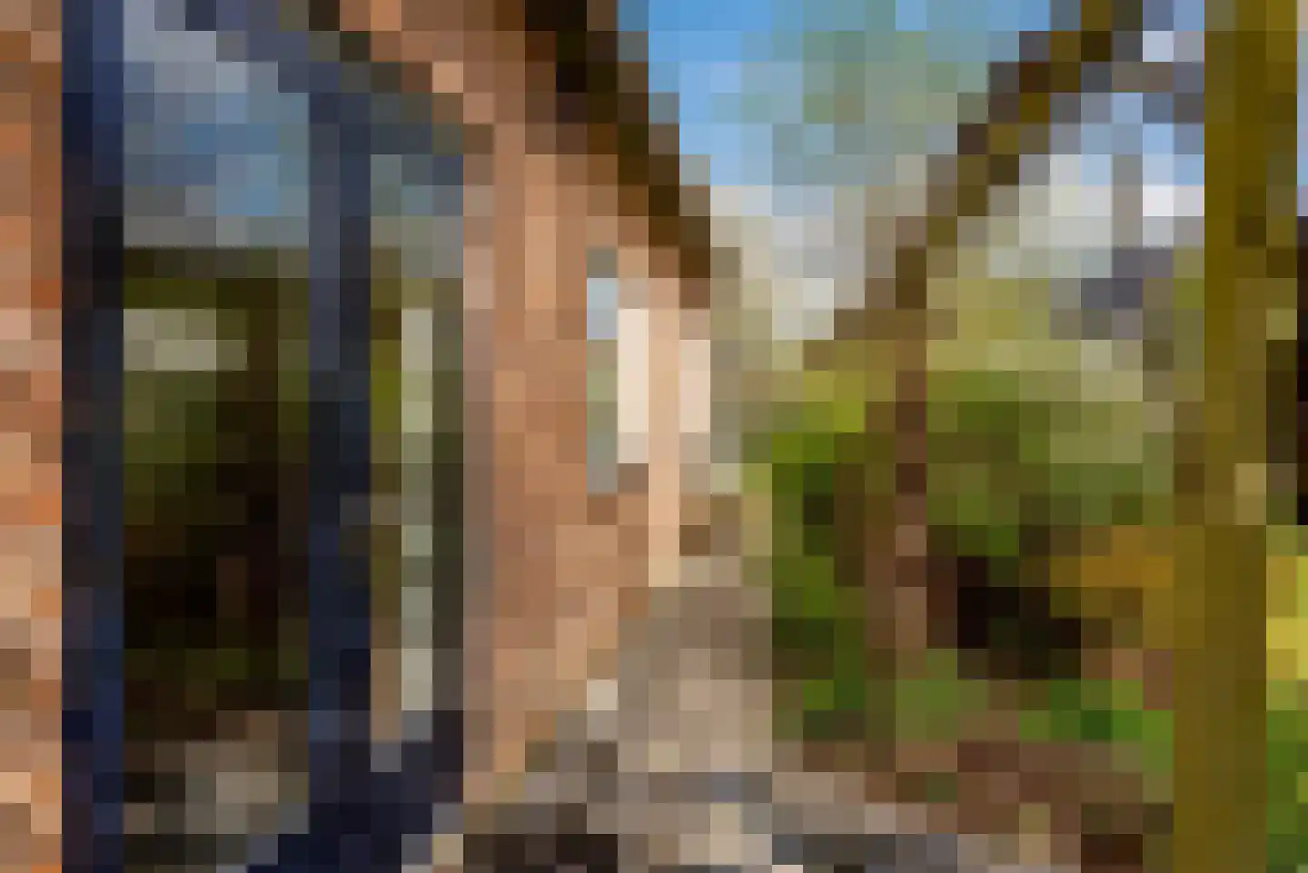 Harm Aartsweg 10 't Loo Oldebroek thumbnail 55